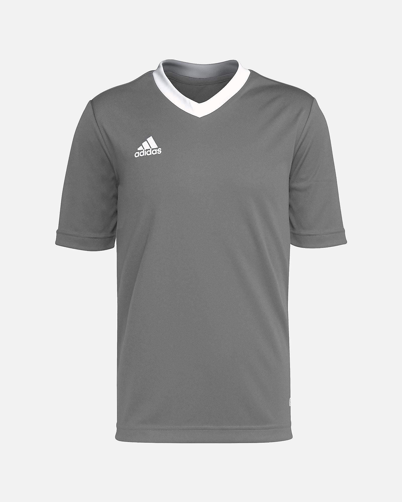 Camiseta adidas Entrada 22