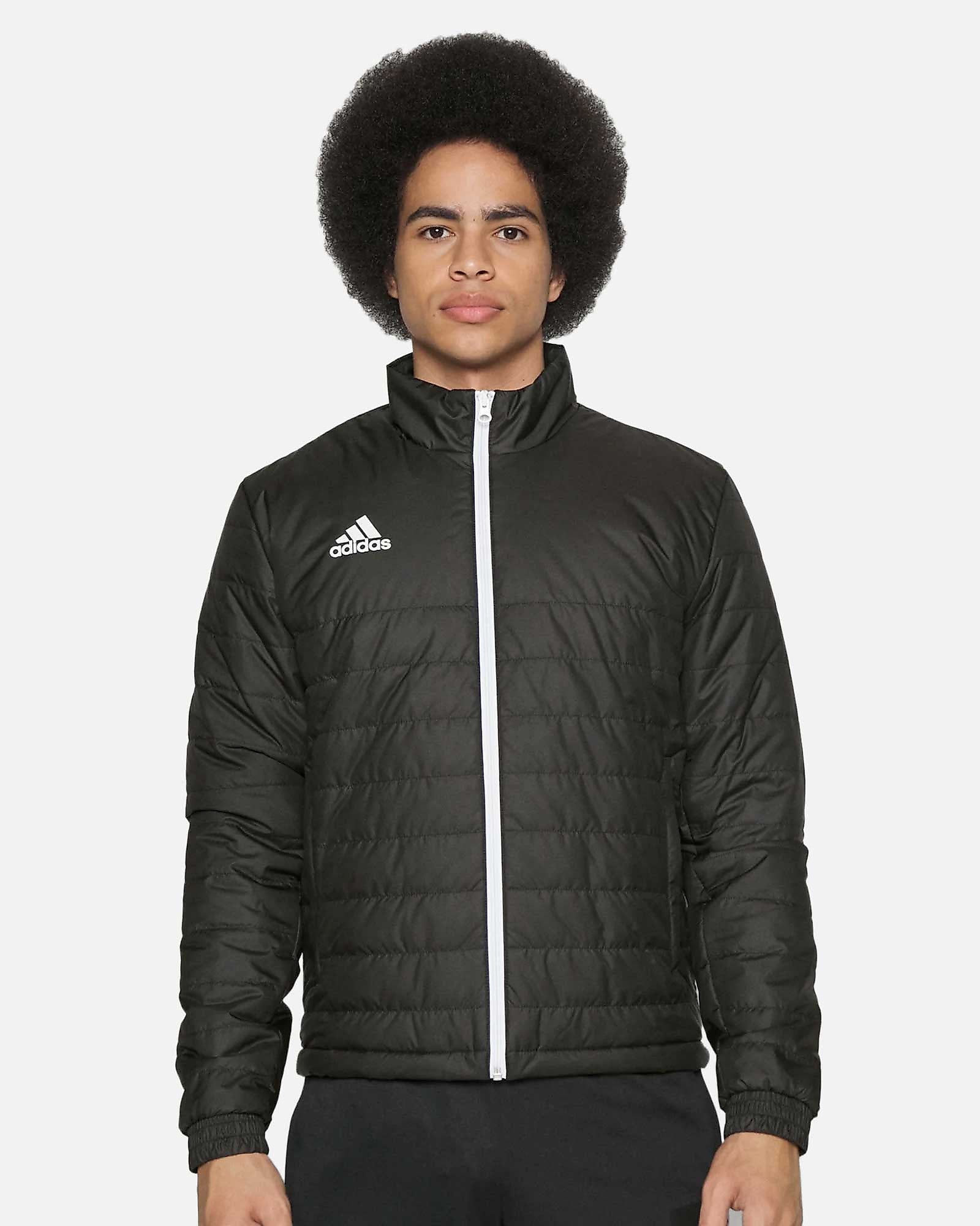 Chaqueta de entrenamiento adidas Entrada 22