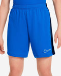 Pantalón corto Nike Dri-FIT Academy 23 TR