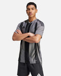 Camiseta adidas Stripped 24