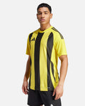 Camiseta adidas Stripped 24