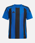 Camiseta adidas Stripped 24
