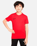 Camiseta de entrenamiento Nike Academy TR