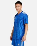 Camiseta adidas Team Icon 25