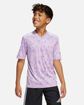 Camiseta adidas Team Icon 25