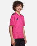 Camiseta adidas Team Icon 25