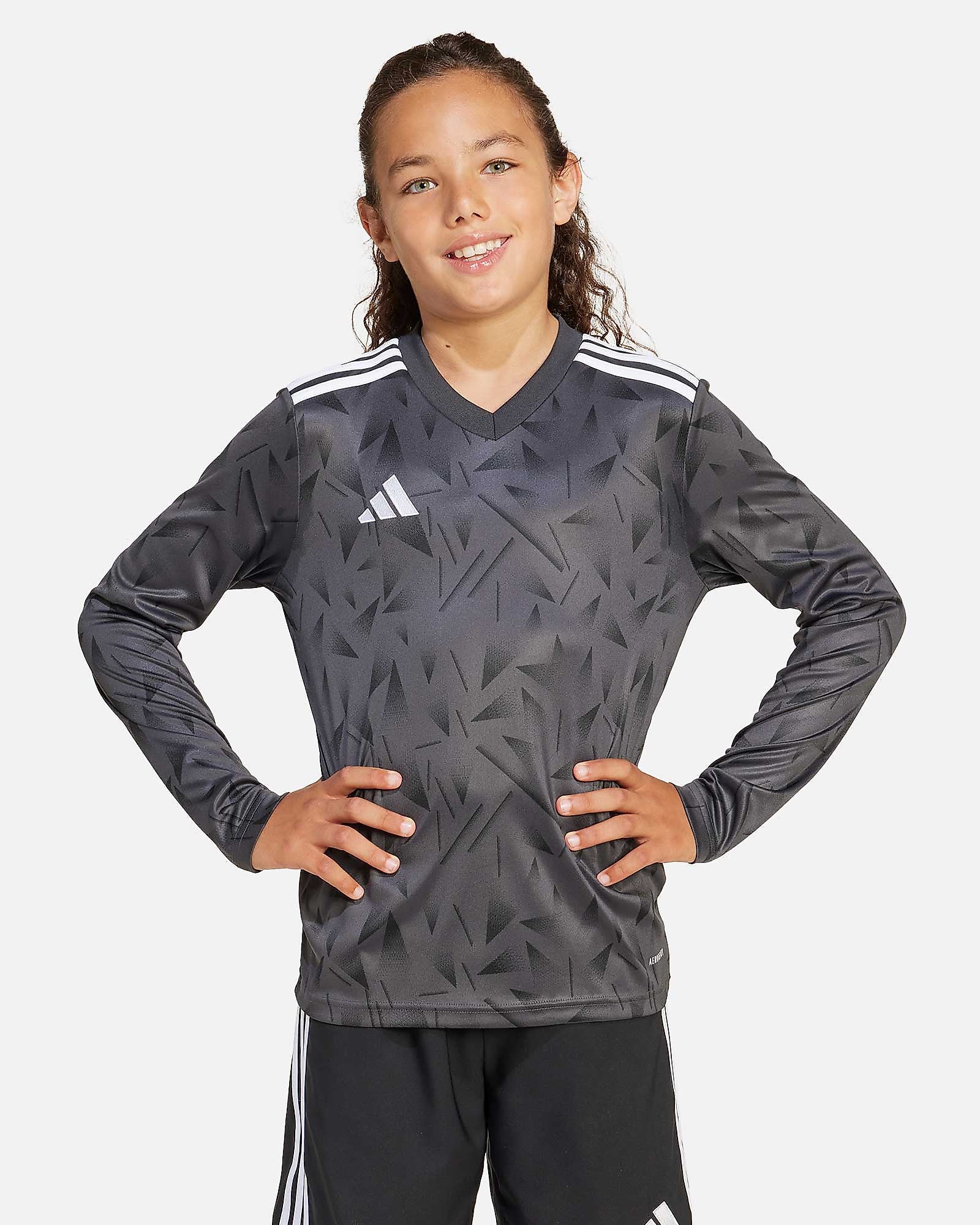 Camiseta de manga larga adidas Team Icon 25