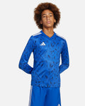 Camiseta de manga larga adidas Team Icon 25