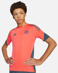 Camiseta de entrenamiento Bayern Munich 2025/2026 Tiro 25 TR