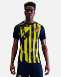 Camiseta de entrenamiento Atlético de Madrid 2025/2026 Academy Pro TR