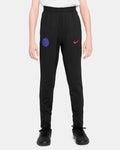 Pantalón largo de entrenamiento París Saint-Germain 2025/2026 Strike TR