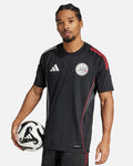 Camiseta de entrenamiento Ajax 2025/2026 TR