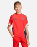 Camiseta de entrenamiento Bayern Munich 2025/2026 TR
