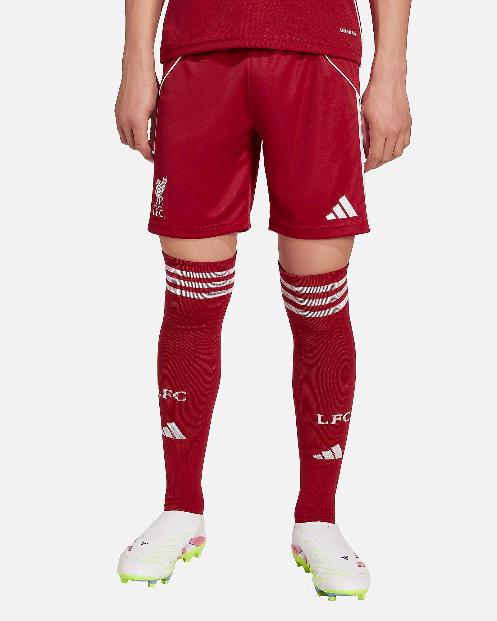 Pantalón corto 1ª Liverpool FC 2025/2026