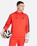 Sudadera de entrenamiento Bayern Munich 2025/2026 TR Hoody
