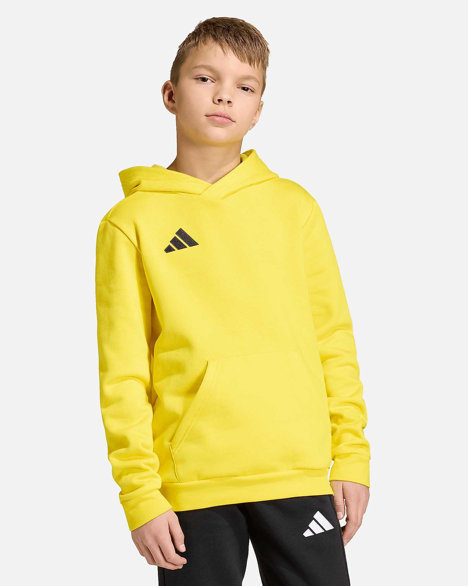 Sudadera de entrenamiento adidas Entrada 26 Hoodie TR