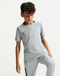 Camiseta de entrenamiento Nike Academy TR