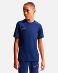 Camiseta de entrenamiento Nike Academy TR