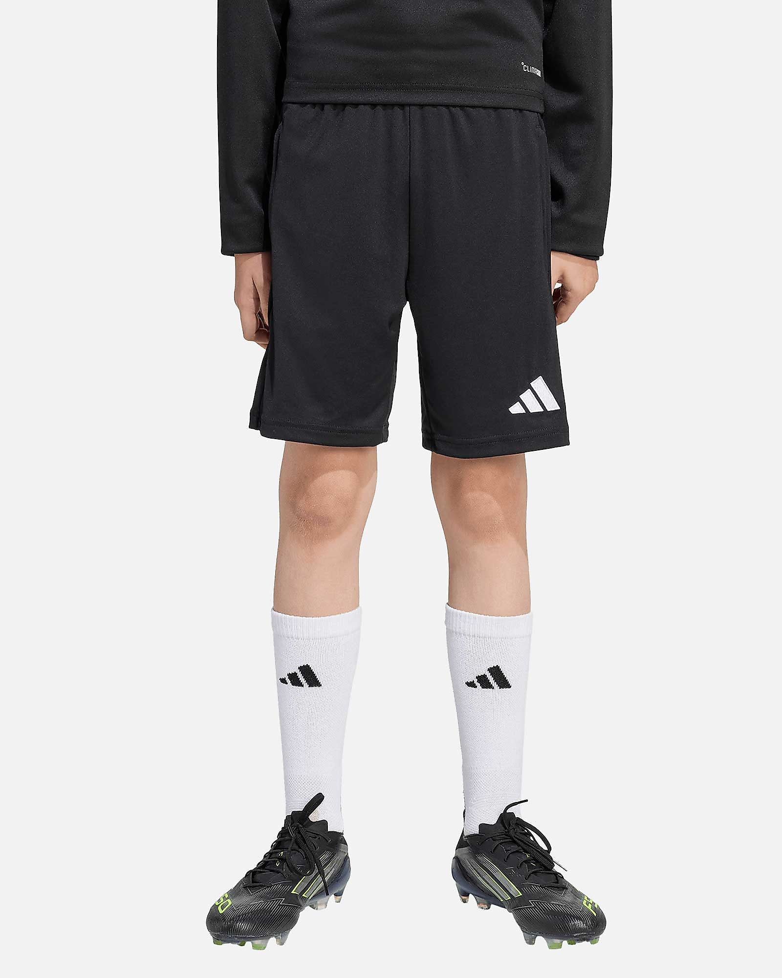 Pantalón adidas Entrada 26 TR