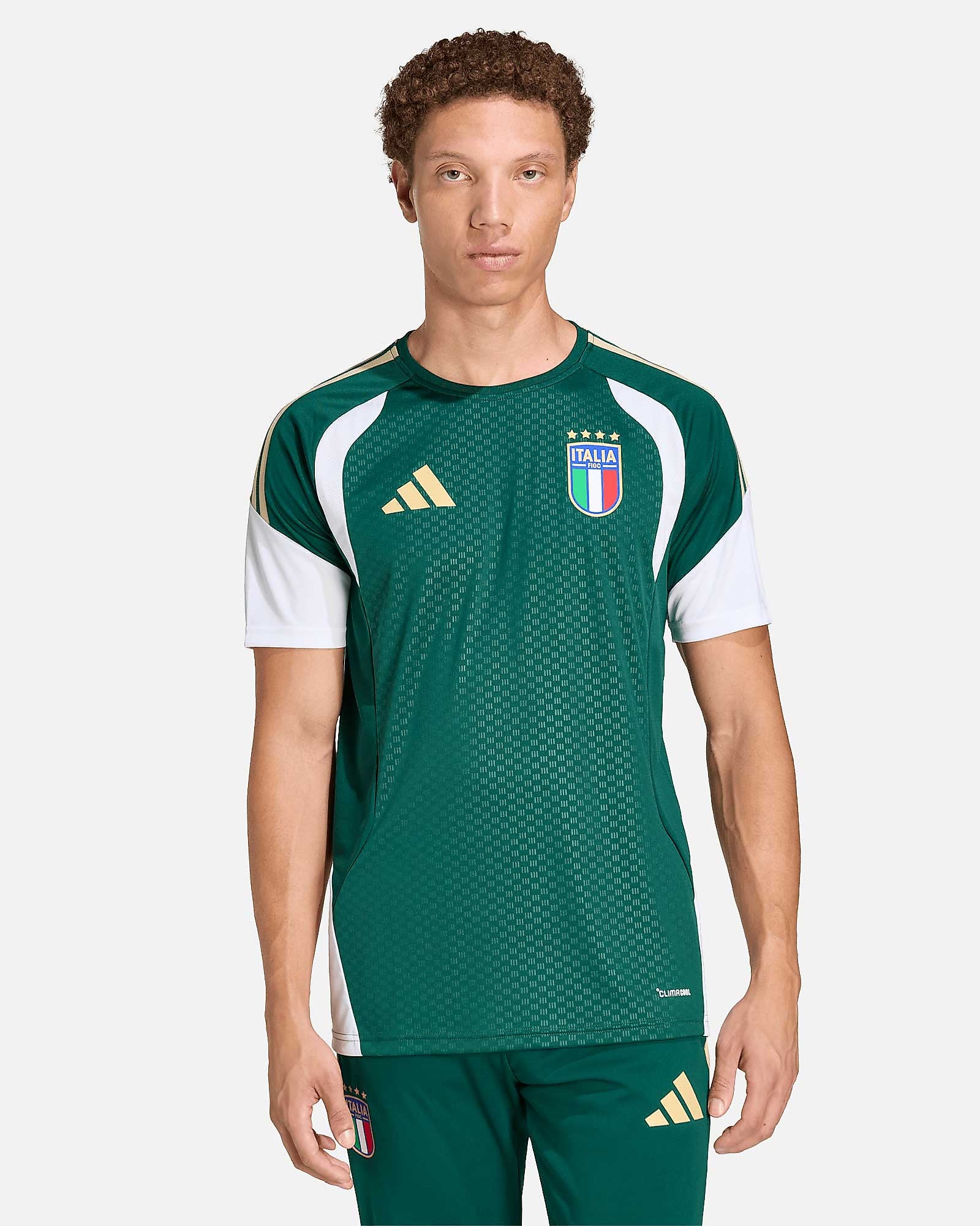 Camiseta de entrenamiento Italia Mundial 2026 TR