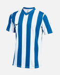Camiseta Nike Striped V