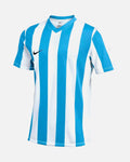 Camiseta Nike Striped V