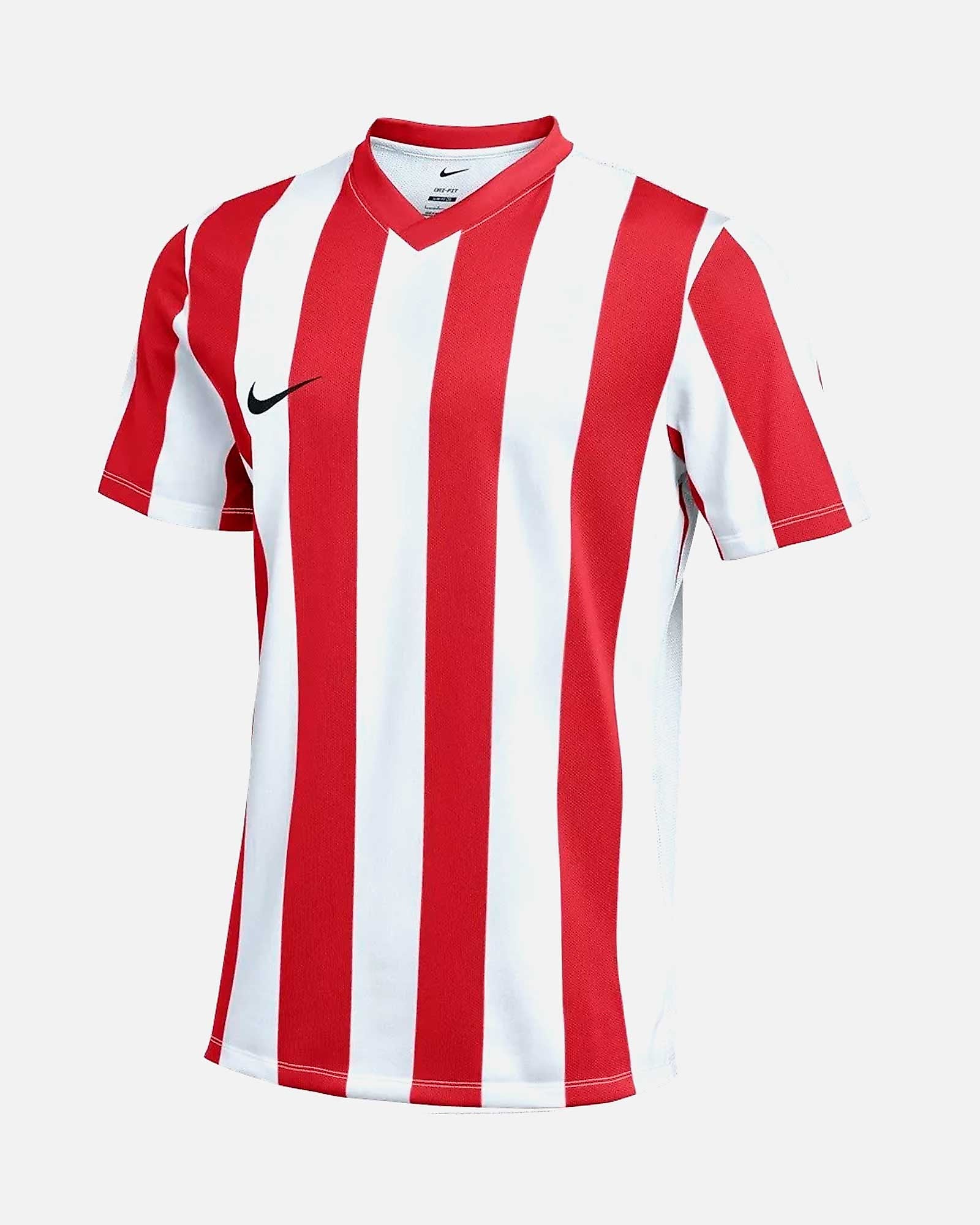 Camiseta Nike Striped V