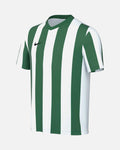 Camiseta Nike Striped V