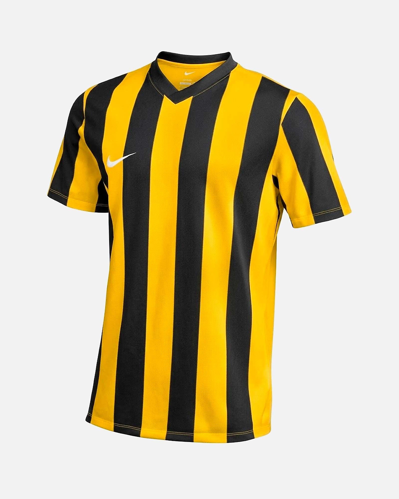Camiseta Nike Striped V