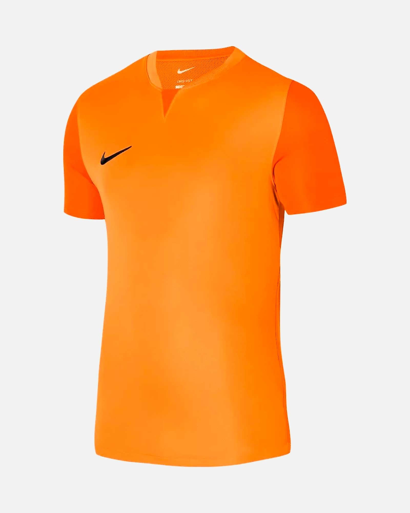 Camiseta Nike Trophy VI
