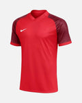 Camiseta Nike Trophy VI