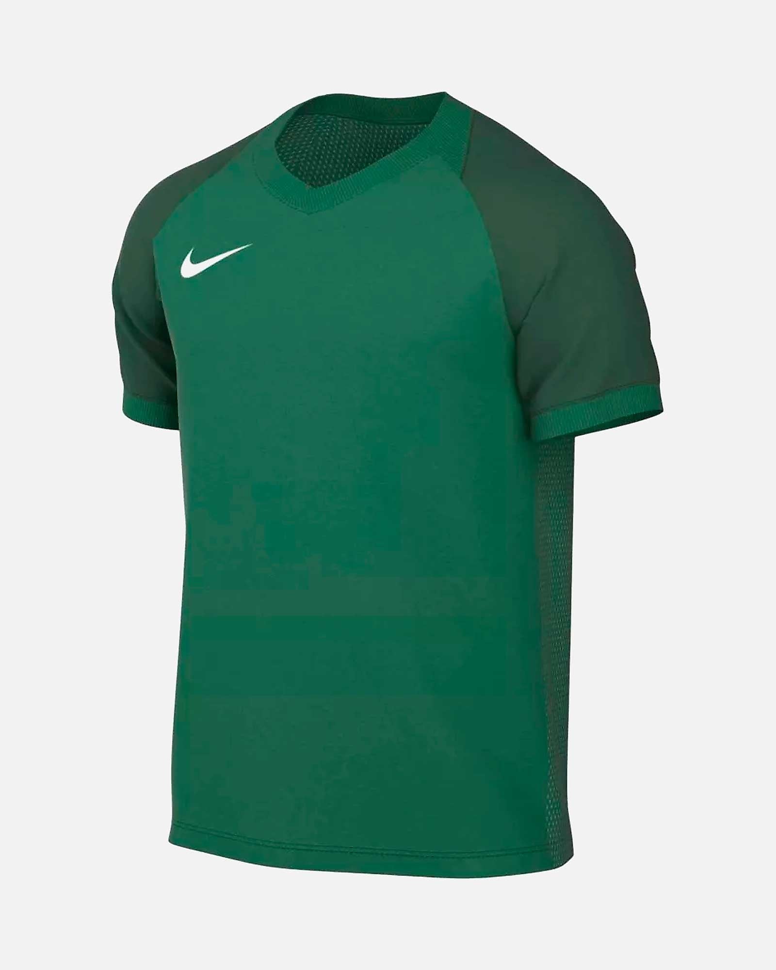 Camiseta Nike Trophy VI