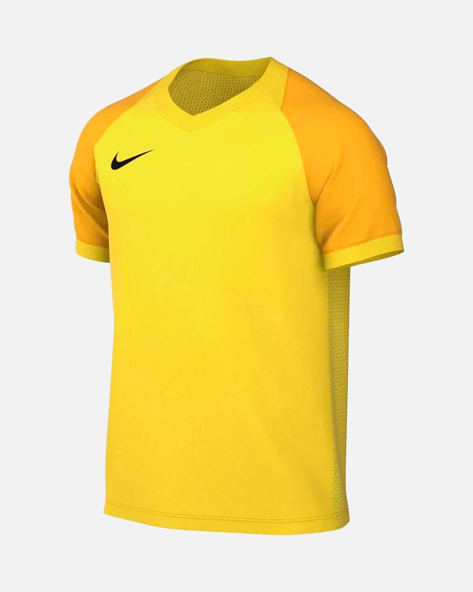 Camiseta Nike Trophy VI
