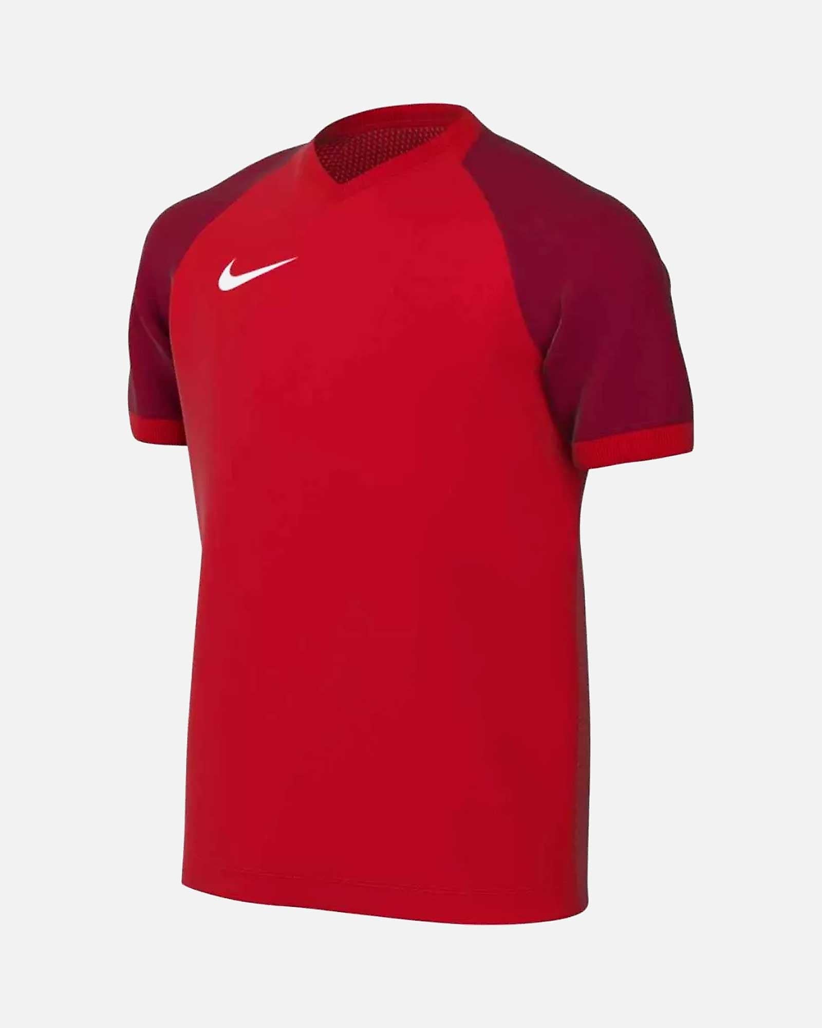 Camiseta Nike Trophy VI