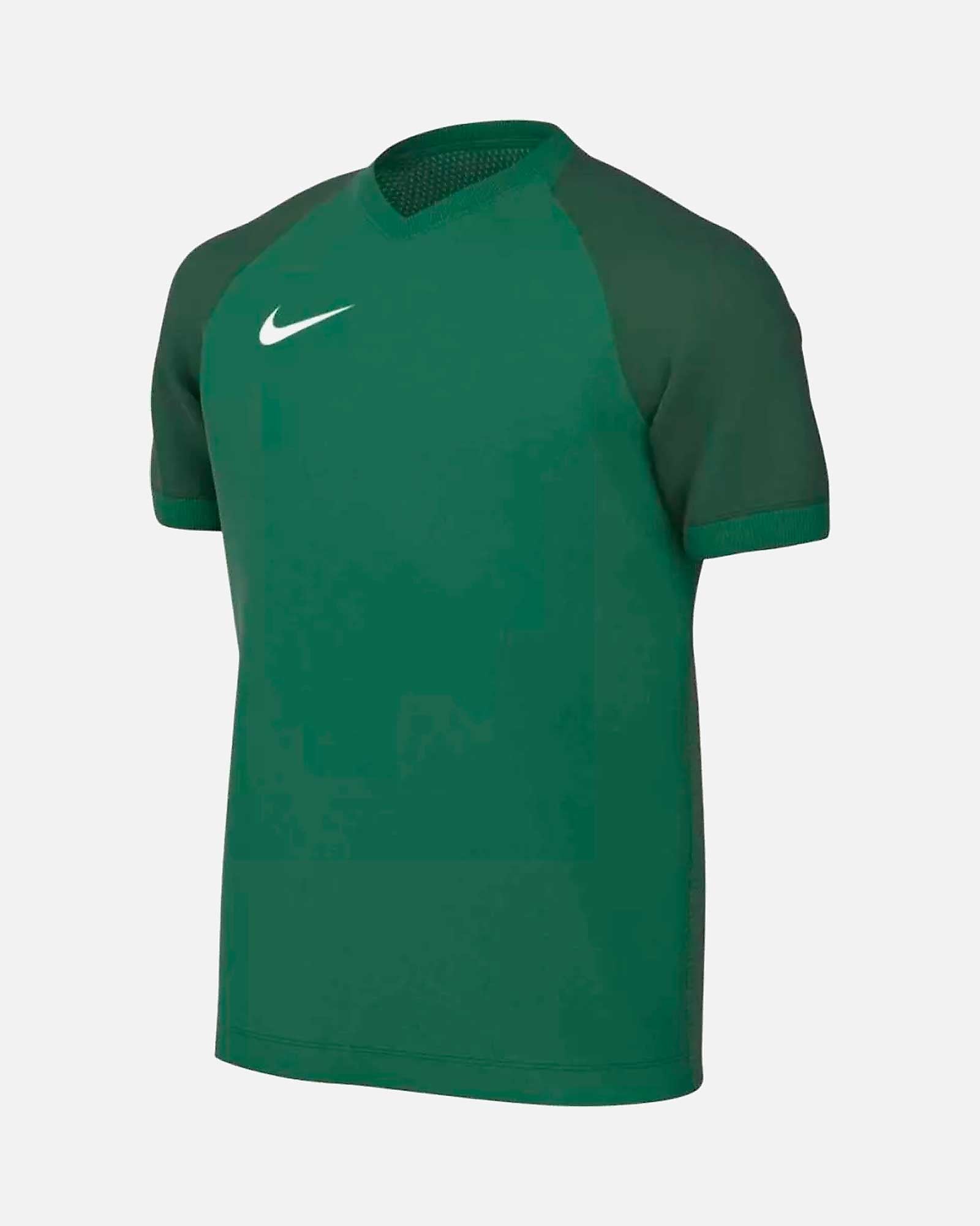 Camiseta Nike Trophy VI