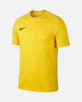 Camiseta Nike Academy 25
