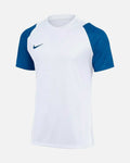 Camiseta Nike Academy II