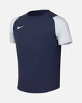Camiseta Nike Academy II