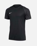 Camiseta Nike Academy 25