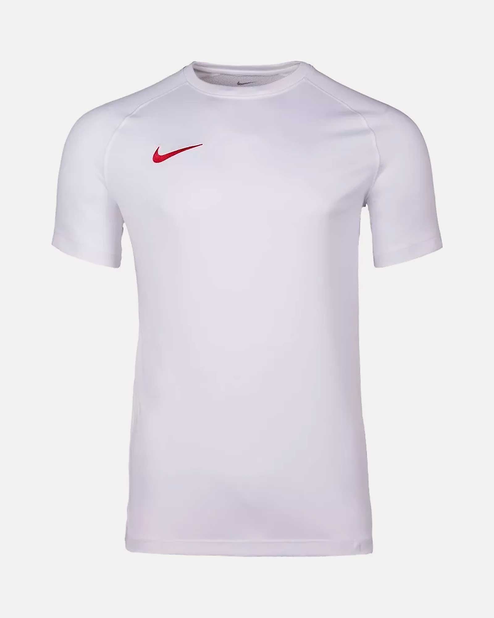 Camiseta Nike Park VIII