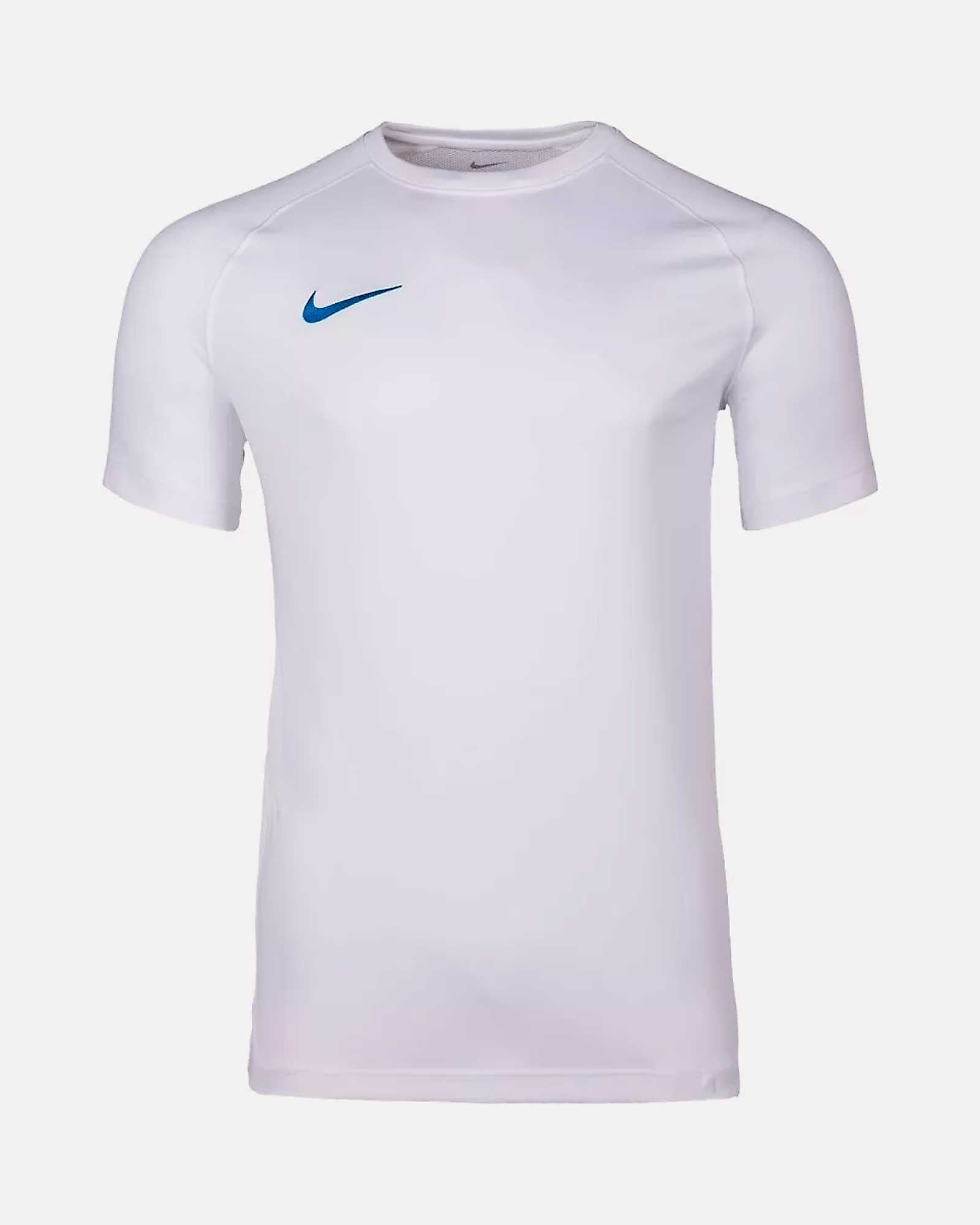 Camiseta Nike Park VIII