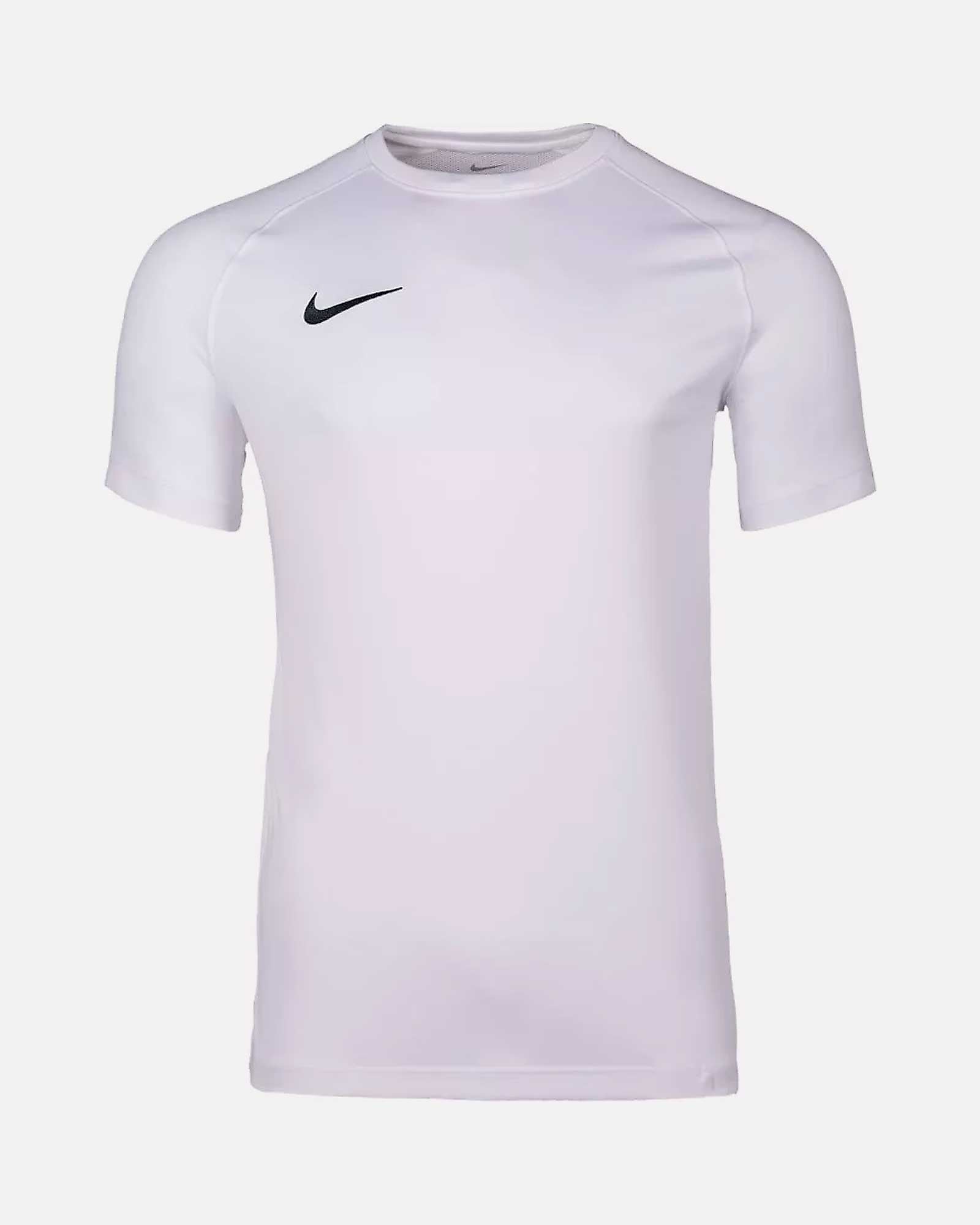 Camiseta Nike Park VIII