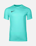 Camiseta Nike Park VIII
