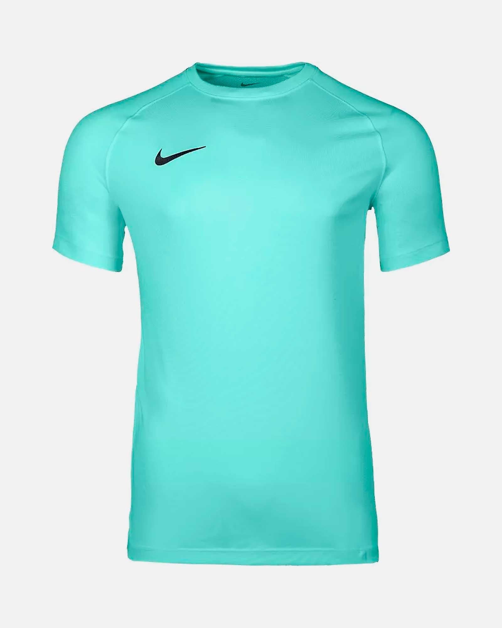 Camiseta Nike Park VIII
