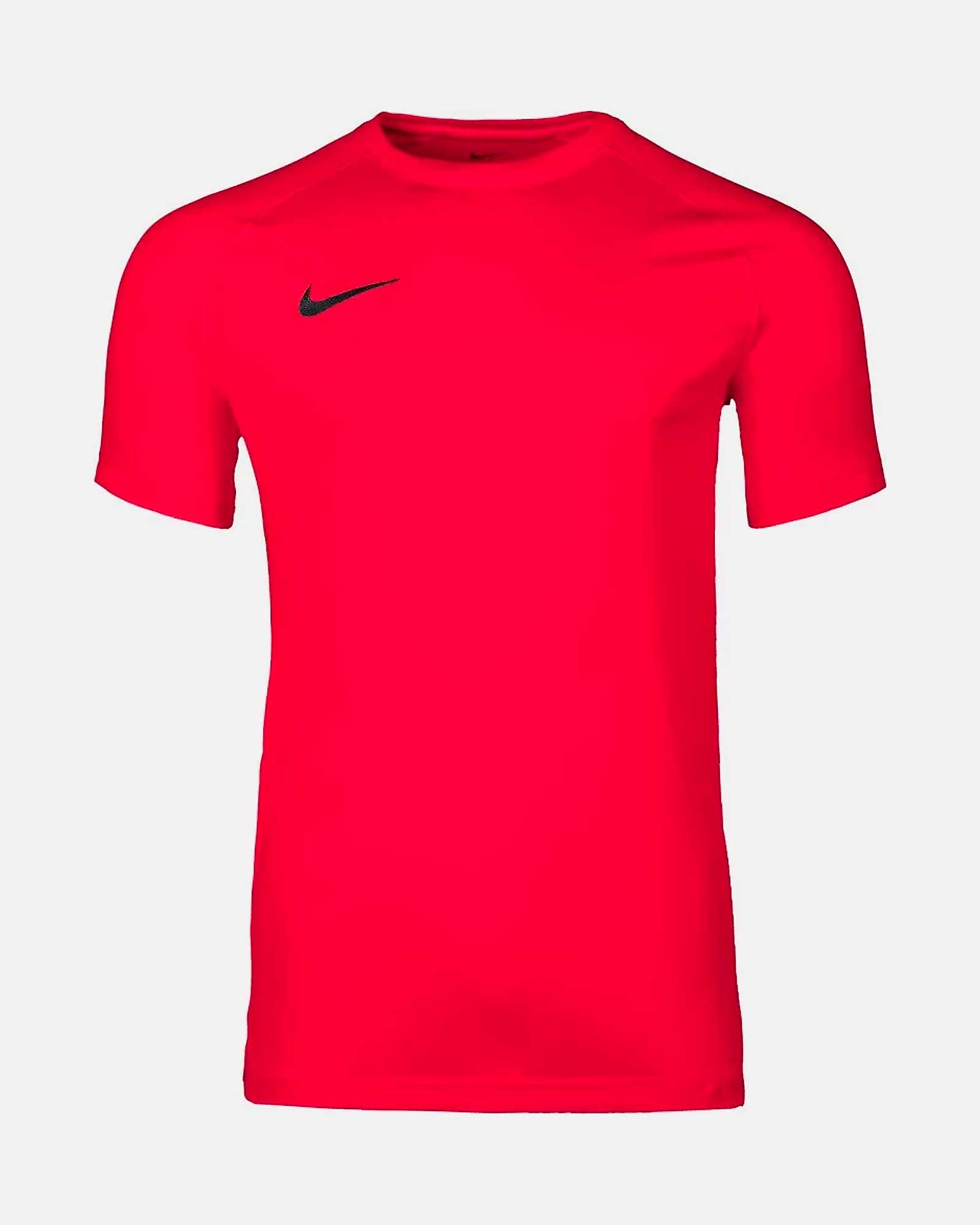 Camiseta Nike Park VIII