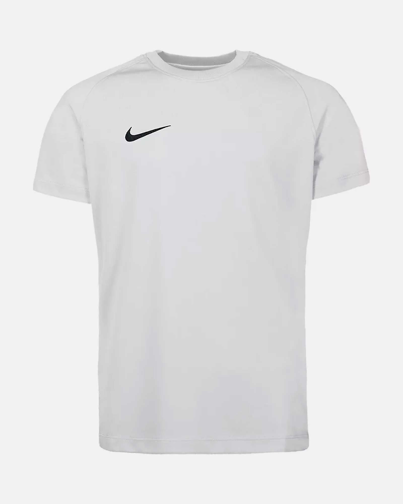 Camiseta Nike Park VIII