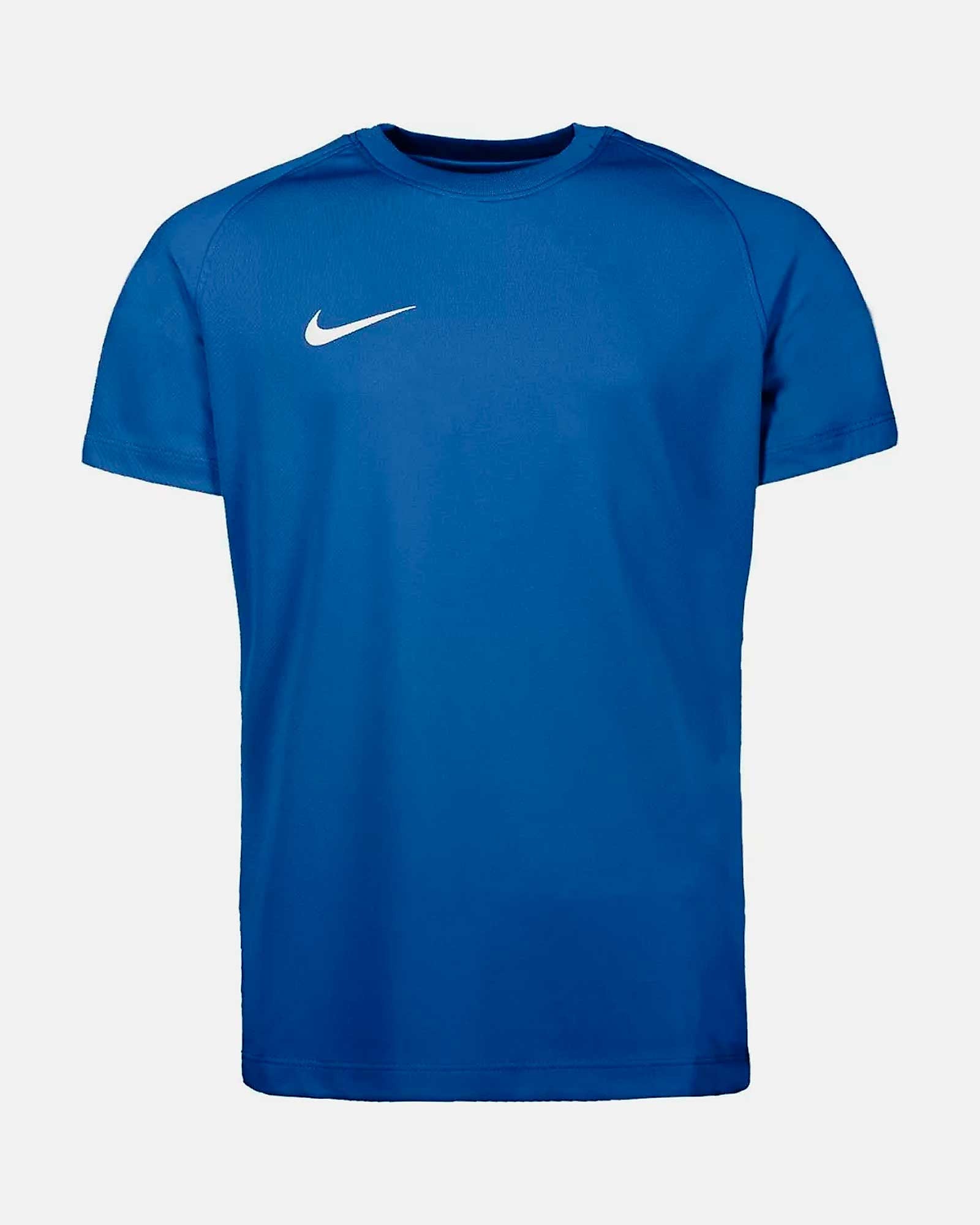 Camiseta Nike Park VIII