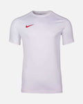 Camiseta Nike Park VIII