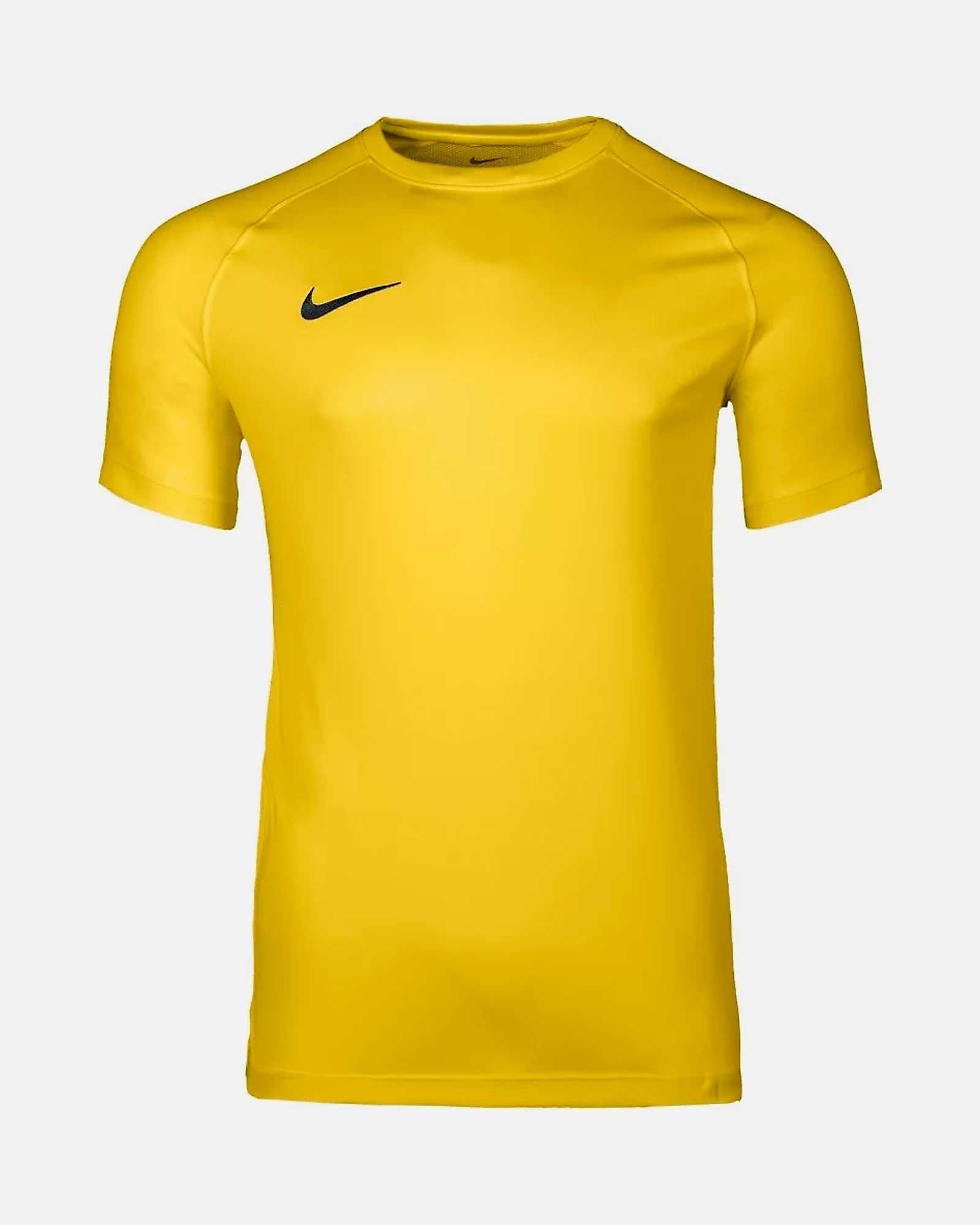Camiseta Nike Park VIII