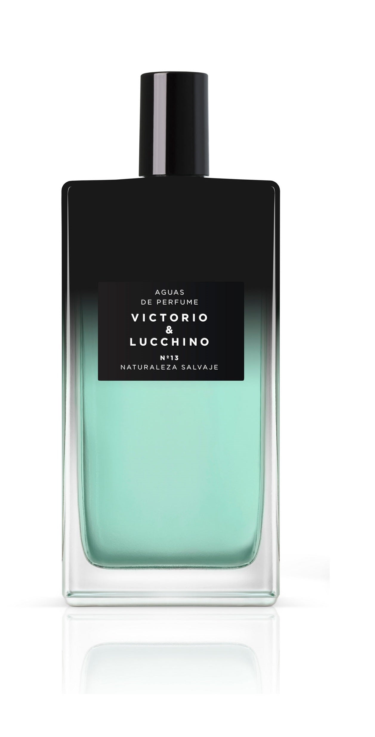 Aguas Masculinas de V&L Nº13 Naturaleza Salvaje Eau de Parfum
